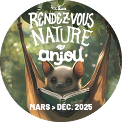 pastille ENS 2025